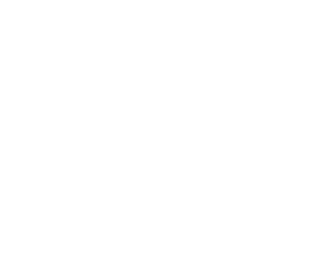Dash Cam